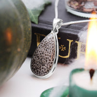 SERPENT - Sterling Silver & Black Coral Necklace