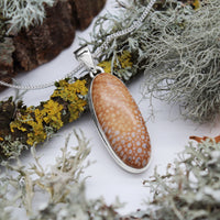 FAWN - Sterling Silver & Deer Fawn Jasper Necklace