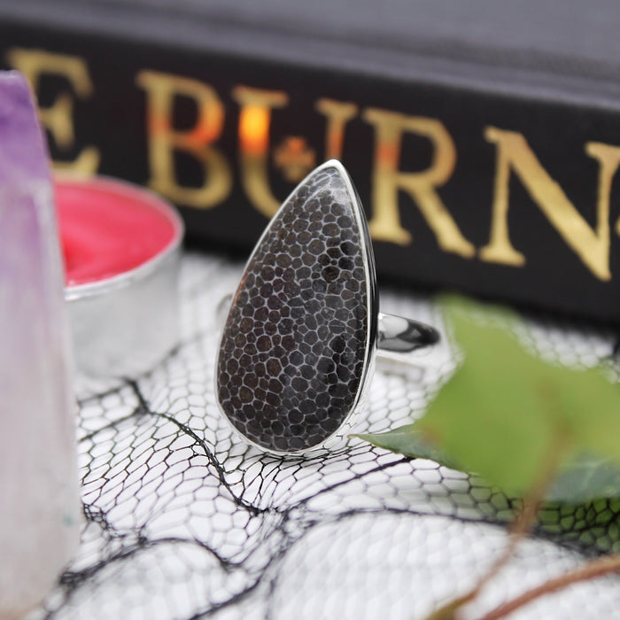 SERPENT - Sterling Silver & Black Coral Ring - US 9